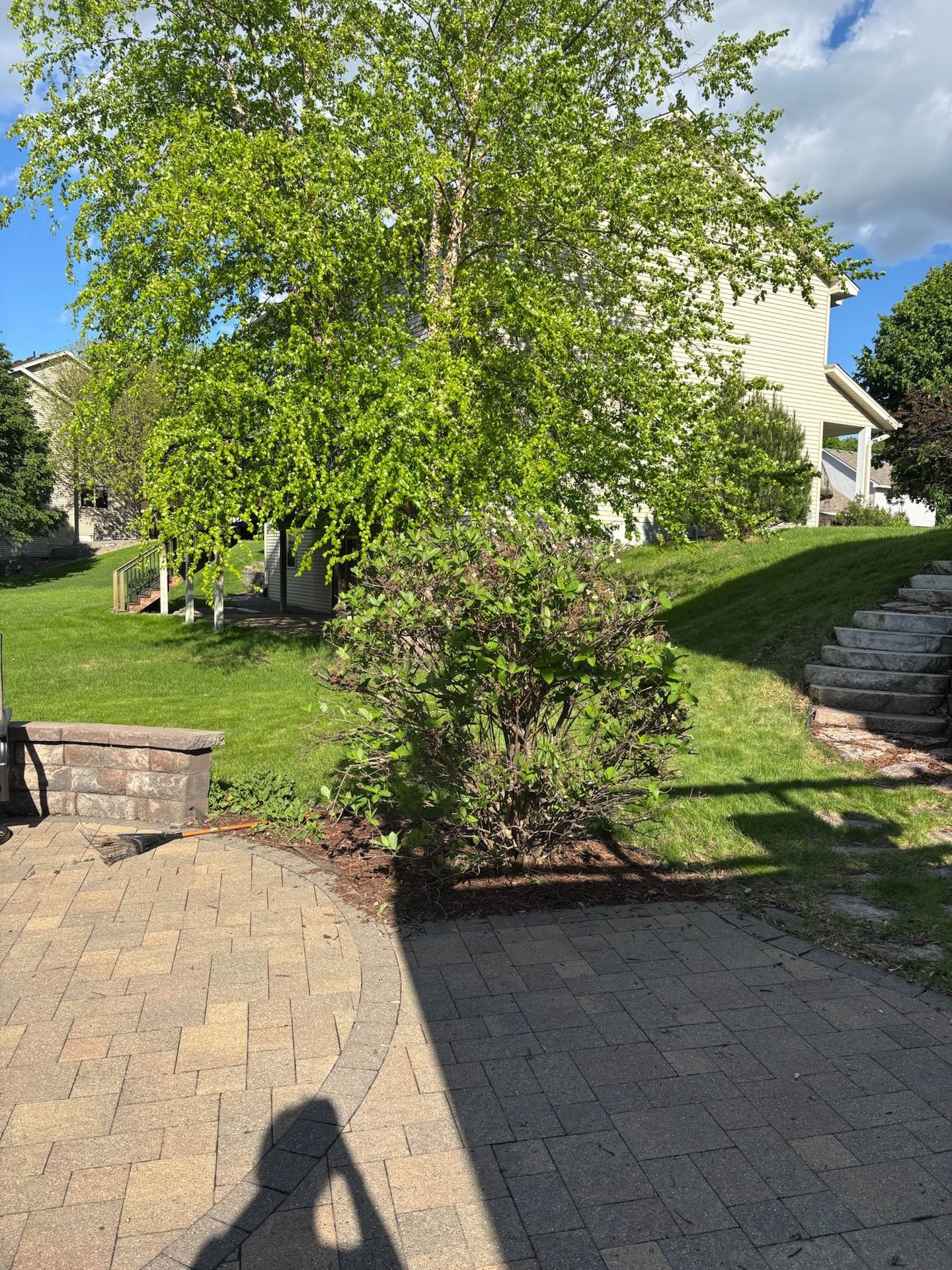 Sunny backyard with green lawn, tree, and stone patio near a house.