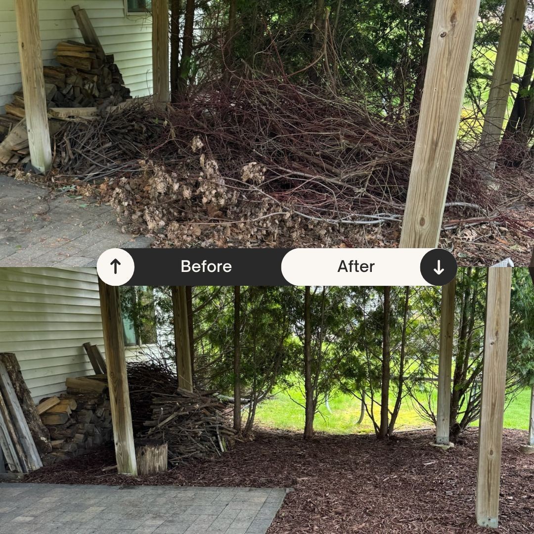 Brush Removal
